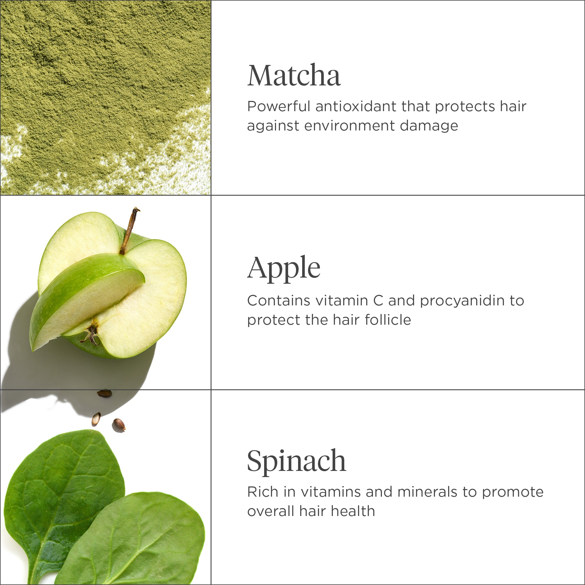 Superfoods Matcha + Apple Replenishing Superfood Shampoo - Briogeo
