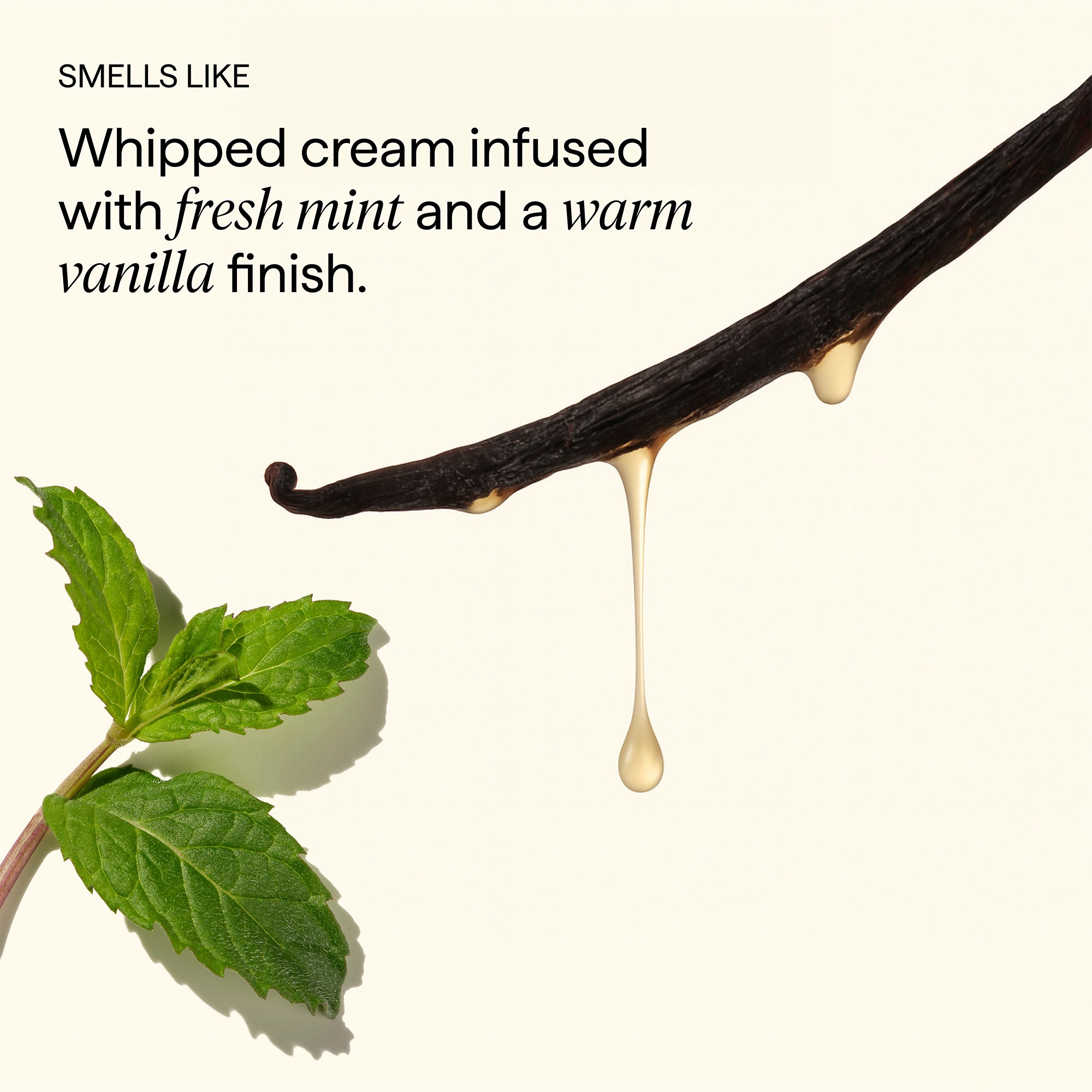 Scalp Revival™ Dandruff Relief Conditioner with Charcoal + 1.8% Salicylic Acid - Briogeo