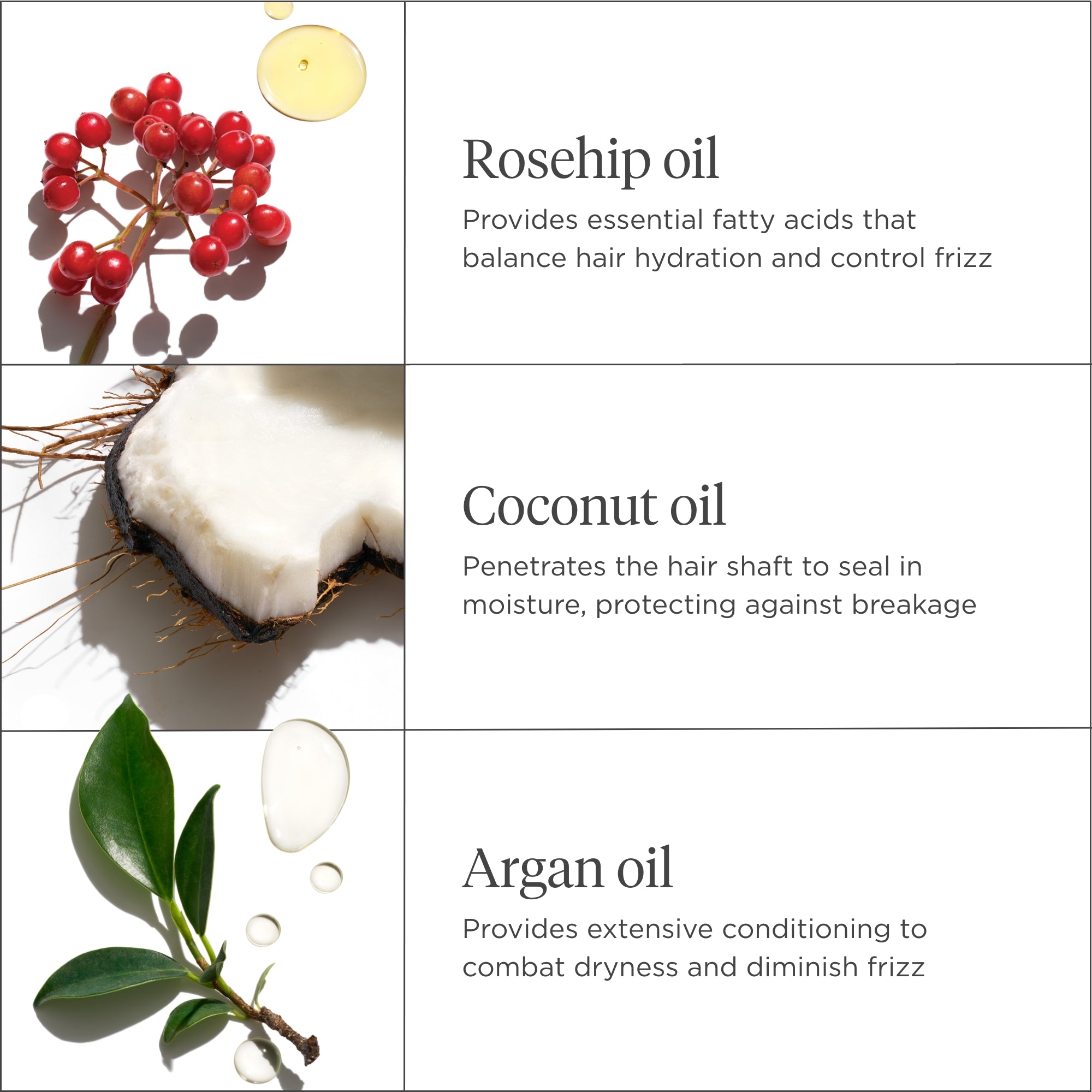 Farewell Frizz Blow Dry Perfection & Heat Protectant Crème - Briogeo